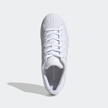 ADIDAS ORIGINALS - Sapatilhas baixas 'Superstar' em branco