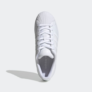 Baskets basses 'Superstar' ADIDAS ORIGINALS en blanc