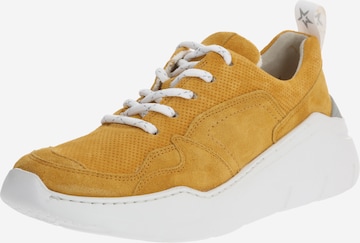 Paul Green Sneakers in Yellow: front