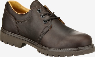 PANAMA JACK Lace-Up Shoes 'Panama' in Brown