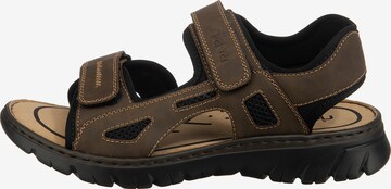 Rieker Hiking Sandals in Brown