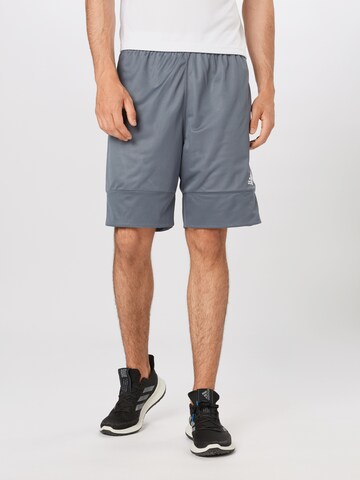 ADIDAS SPORTSWEAR - Loosefit Calças de desporto '3g spee rev shr' em cinzento: frente