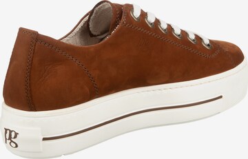 Paul Green Sneakers in Brown