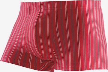 LE JOGGER Boxer shorts in Mixed colors