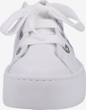 Paul Green Sneakers laag in Wit