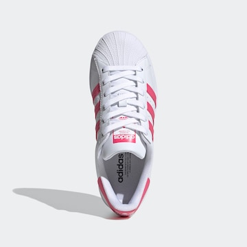 Baskets 'Superstar' ADIDAS ORIGINALS en blanc