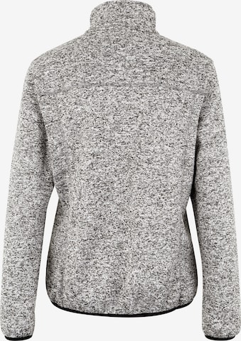 Whistler Funktionsfleecejacke 'Lagi' in Grau