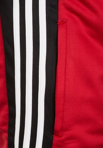 ADIDAS PERFORMANCE Trainingsjacke 'Regista 18' in Rot
