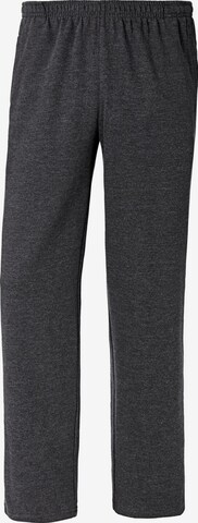 Jan Vanderstorm Regular Pants 'Wenner' in Grey: front