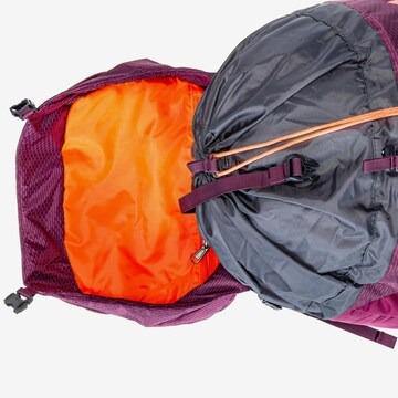 SALEWA Sports Backpack 'Alptrek 50 BP WS' in Purple