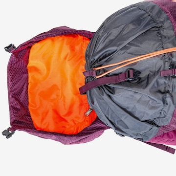 SALEWA Trekkingrucksack 'Alptrek 50 BP WS' in Lila