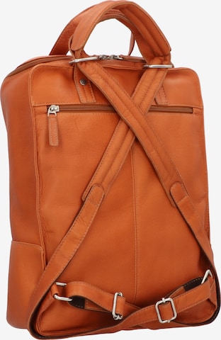 Harold's Backpack 'Campo' in Brown