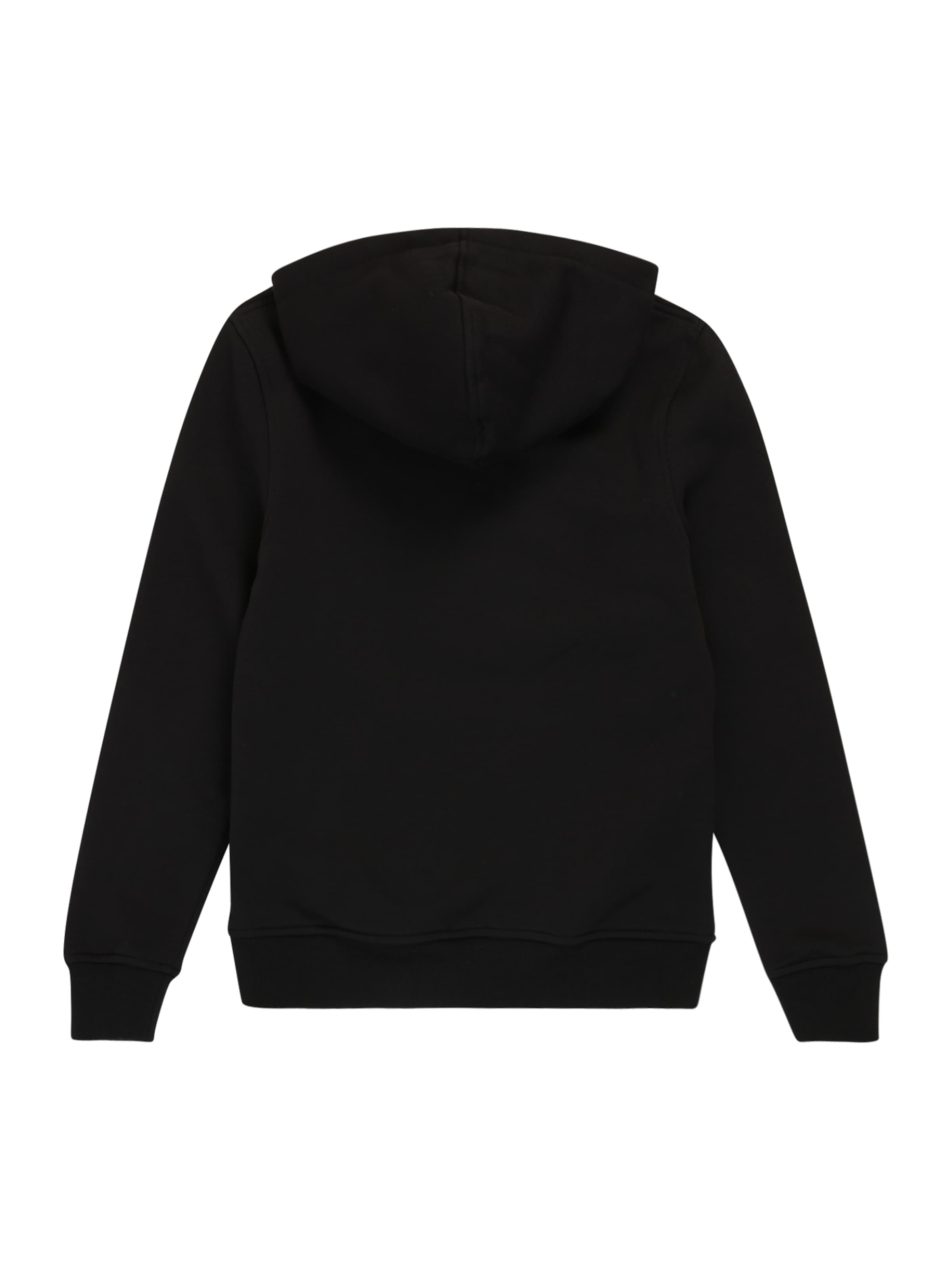 Regular fit Bluză de molton 'Kids Pluto Pose' de la Mister Tee pe negru