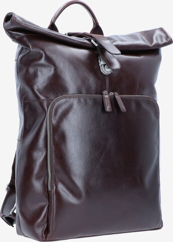 Picard Backpack in Brown: front