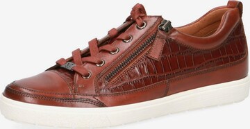 CAPRICE Athletic Lace-Up Shoes in Brown: front