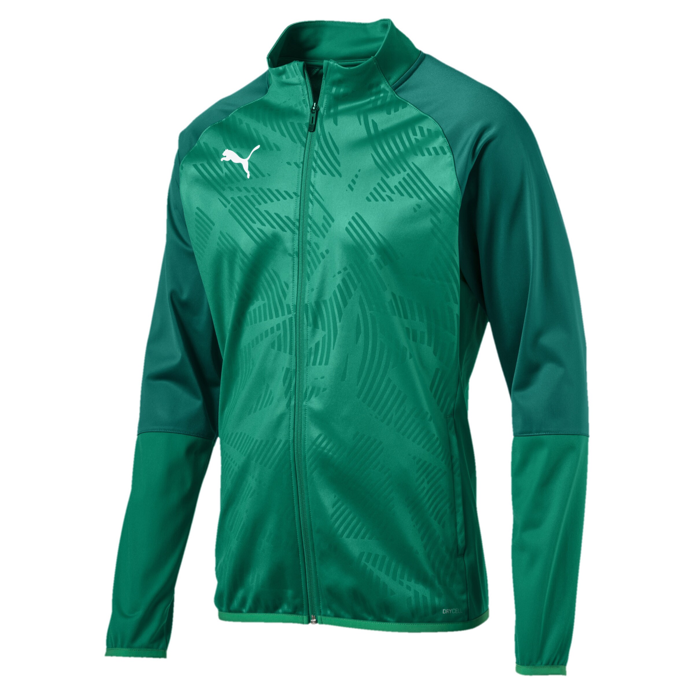 PUMA - Sportjas 'Cup Training Poly Core' in de kleur Groen