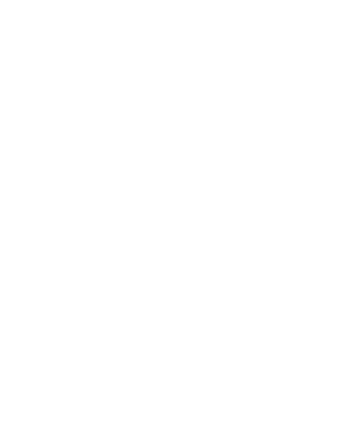 BÄR Logo