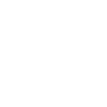 HAVAIANAS Logo