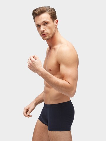 TOM TAILOR Boxershorts in Gemengde kleuren