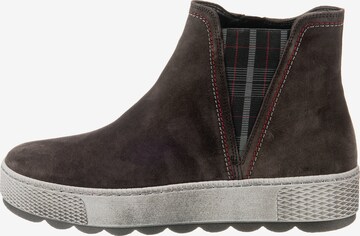 GABOR Chelsea Boots in Brown