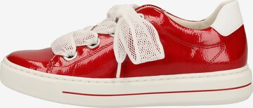 ARA Sneaker in Rot