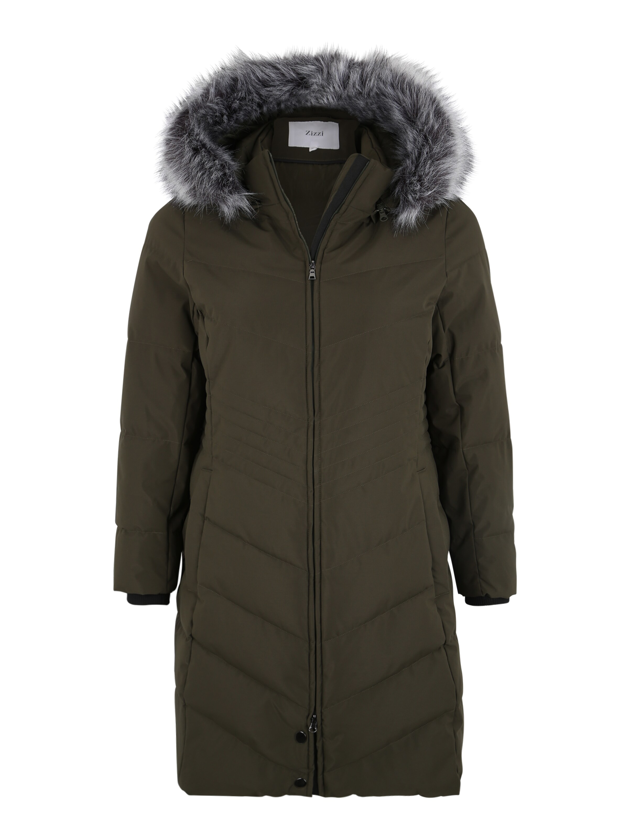 Zizzi - Wintermantel 'MLUXA' in de kleur Groen