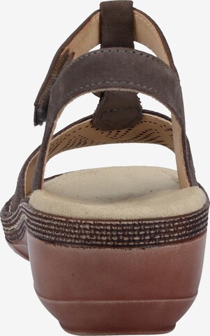 ARA Sandalen met riem in Bruin