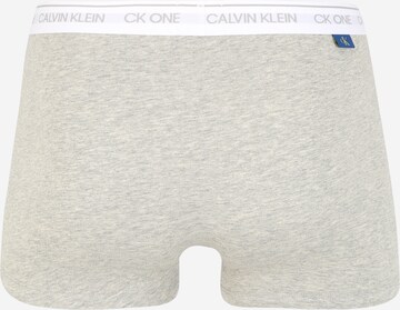 Calvin Klein Underwear tavaline Bokserid, värv hall