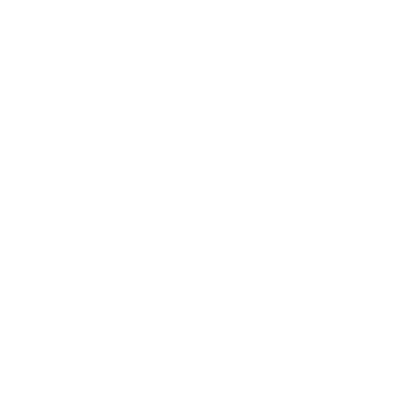 MOON BOOT Logo