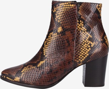 Paul Green Ankle Boots in Brown