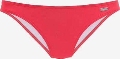 BENCH Bikinitrusse 'Perfect' i rød, Produktvisning
