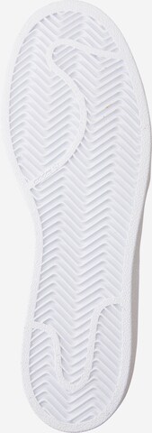 Baskets basses 'Superstar' ADIDAS ORIGINALS en blanc : en bas