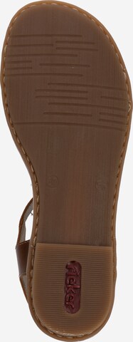 Rieker Strap Sandals in Brown