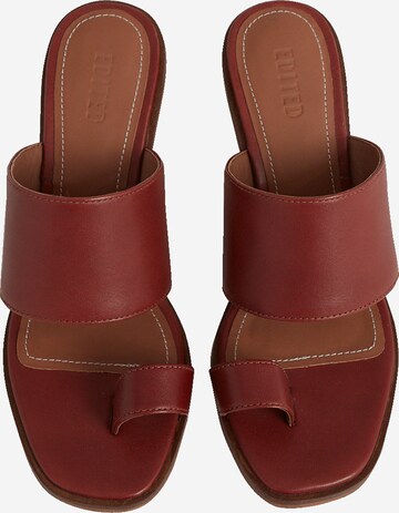 Mule 'Lenya' EDITED en rouge