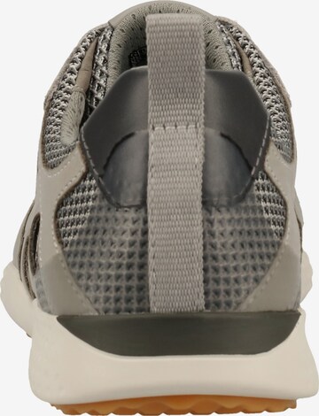 GEOX Sneaker in Grau