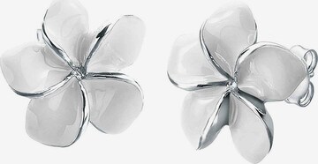 ELLI Earrings 'Frangipani Blüte' in White: front