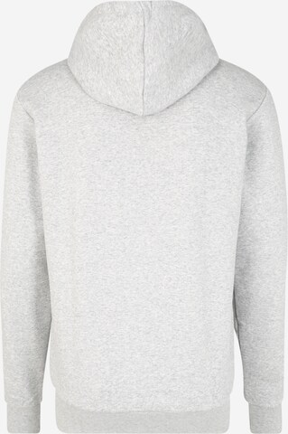 Coupe regular Veste de survêtement 'Essentials' ADIDAS PERFORMANCE en gris