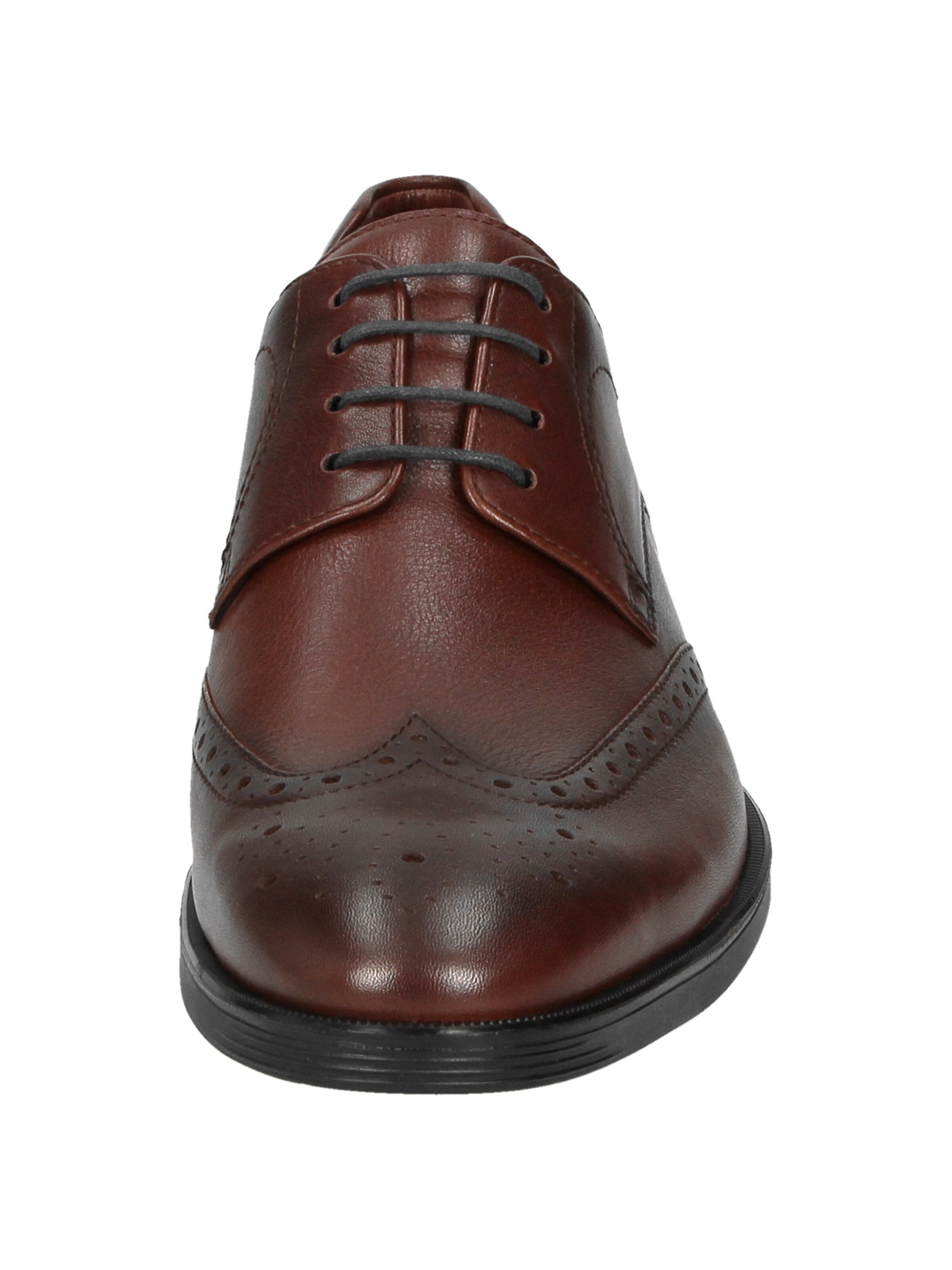 SIOUX Veterschoen 'Forkan-XL' in Bruin