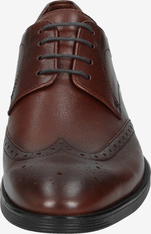 SIOUX Lace-Up Shoes 'Forkan-XL' in Brown