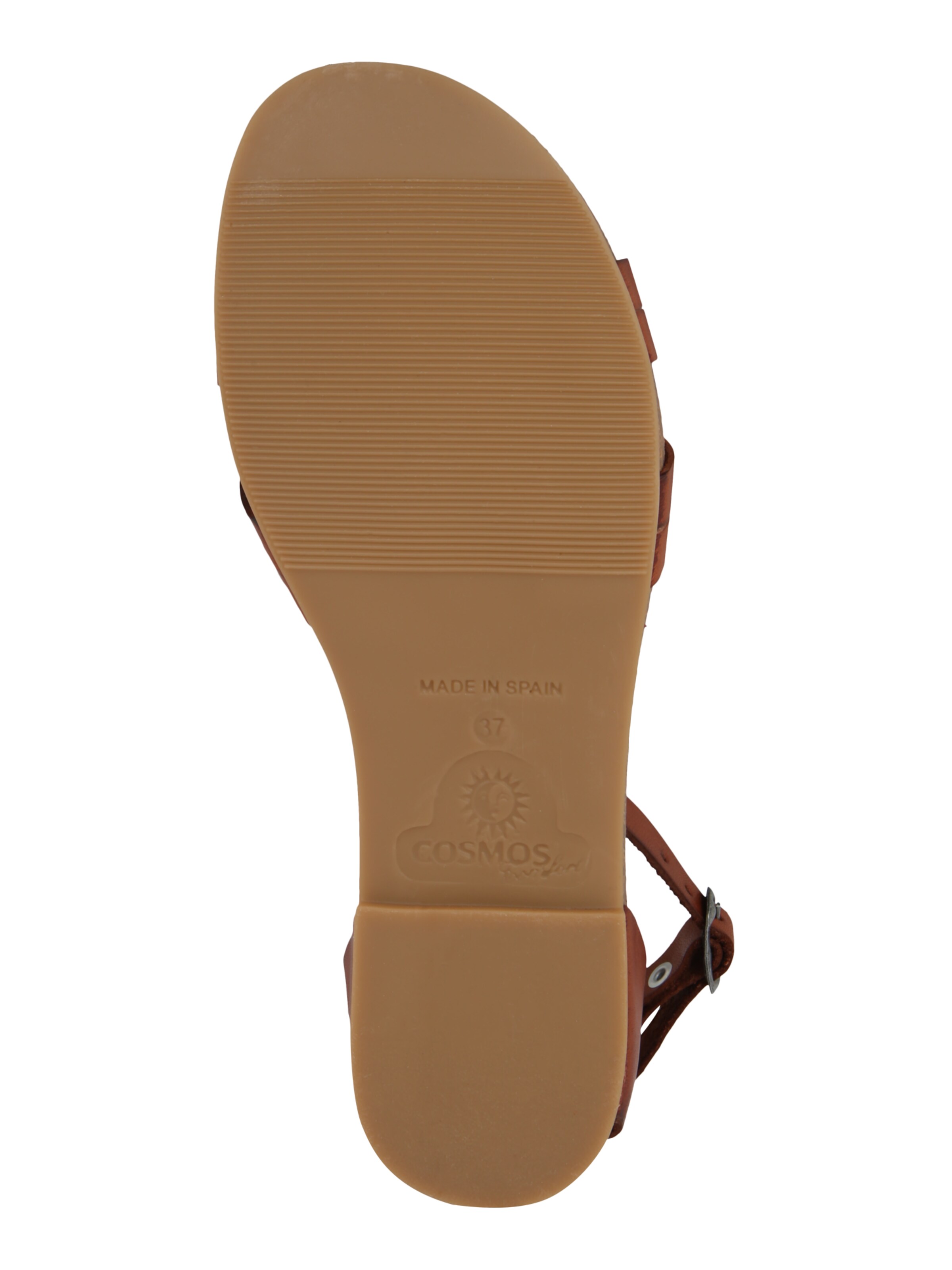 Sandalo con cinturino di COSMOS COMFORT in marrone