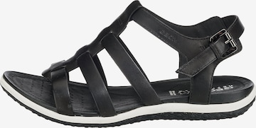 GEOX Sandal 'Vega' i svart