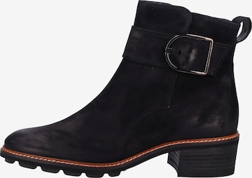 Paul Green Ankle Boots in Blue