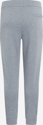 ARMANI EXCHANGE Tapered Housut '8NZPPA' värissä harmaa