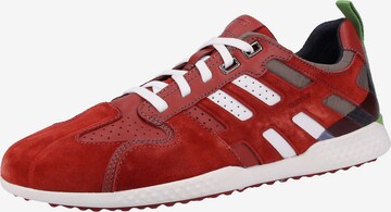 GEOX Sneakers laag 'Snake' in Rood: voorkant