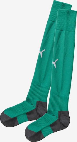 PUMA Soccer Socks 'Team Liga' in Green