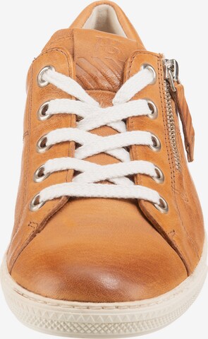 Paul Green Sneakers in Brown