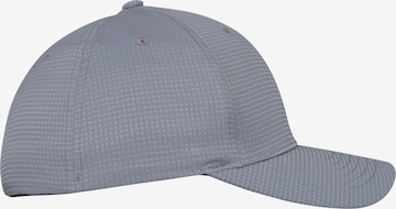 Flexfit Cap in Grey