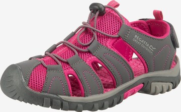 REGATTA Sandals & Slippers 'Westshore' in Pink: front