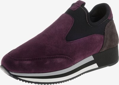 Cetti Schuhe günstig online kaufen | mirapodo Cetti Schuhe günstig online kaufen | mirapodo