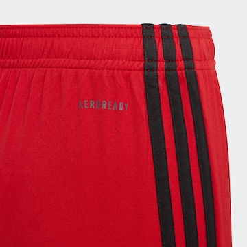 ADIDAS PERFORMANCE Regular Hose in Rot